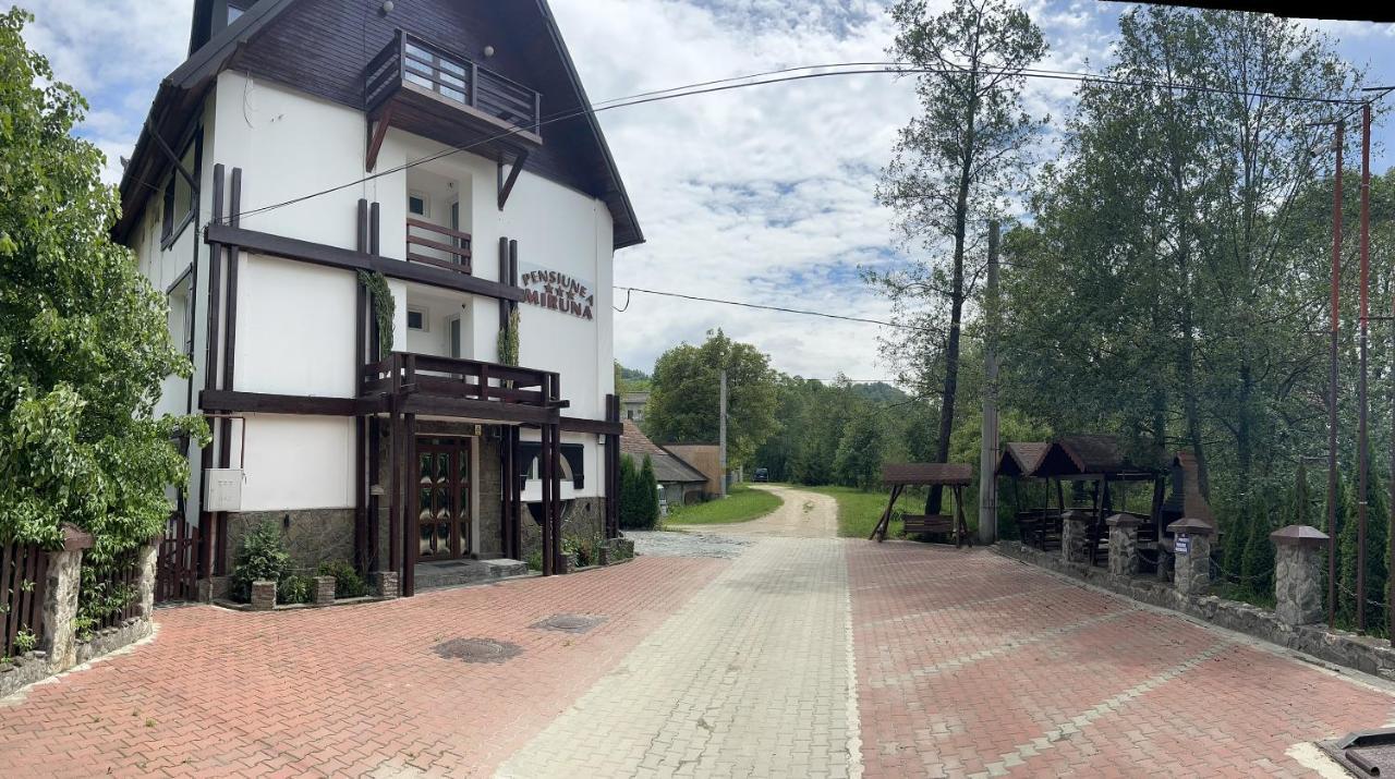 Pensiunea Miruna Alsómoécs Kültér fotó